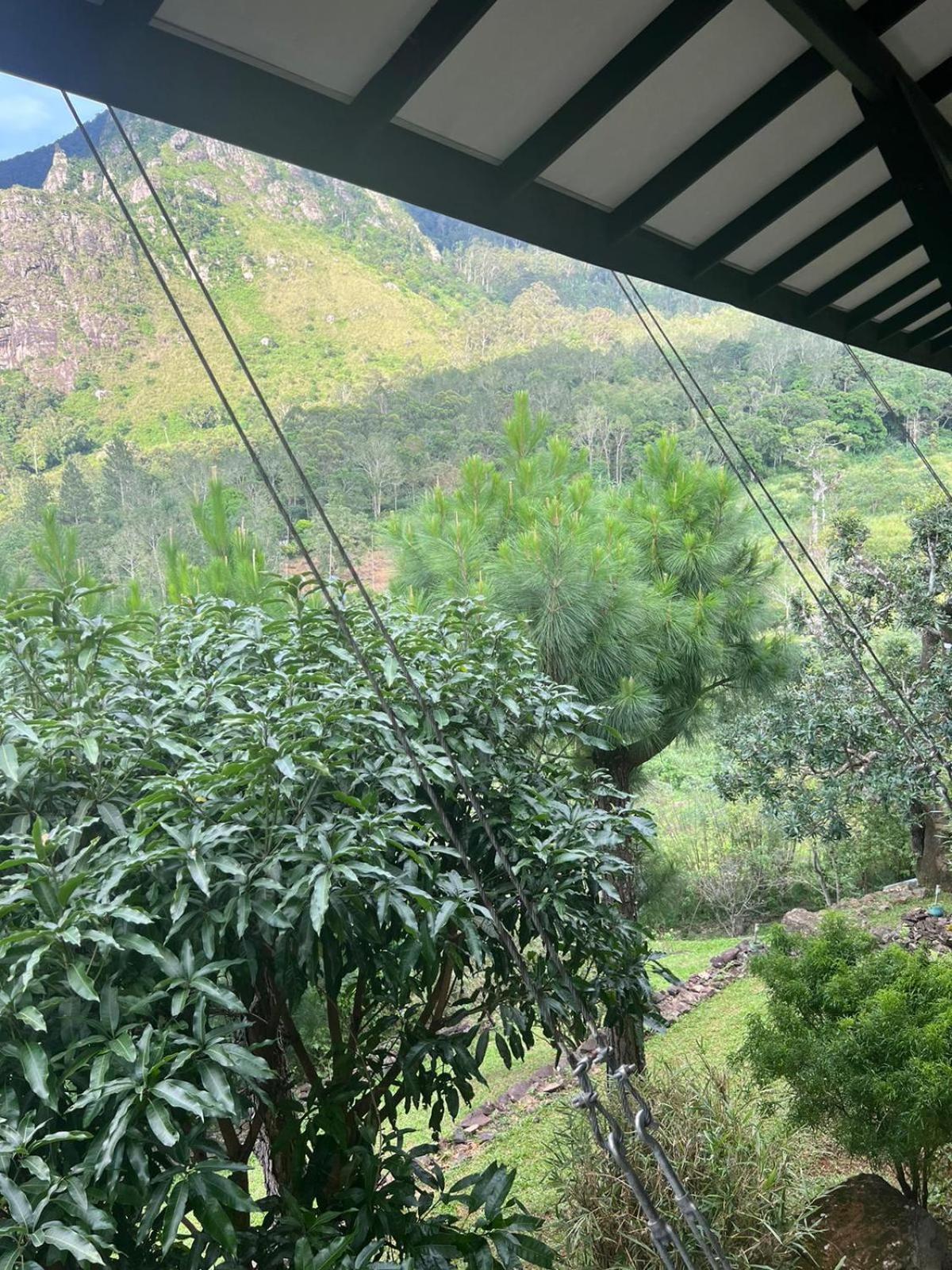 Grace Holiday Bungalow Haputale Dış mekan fotoğraf