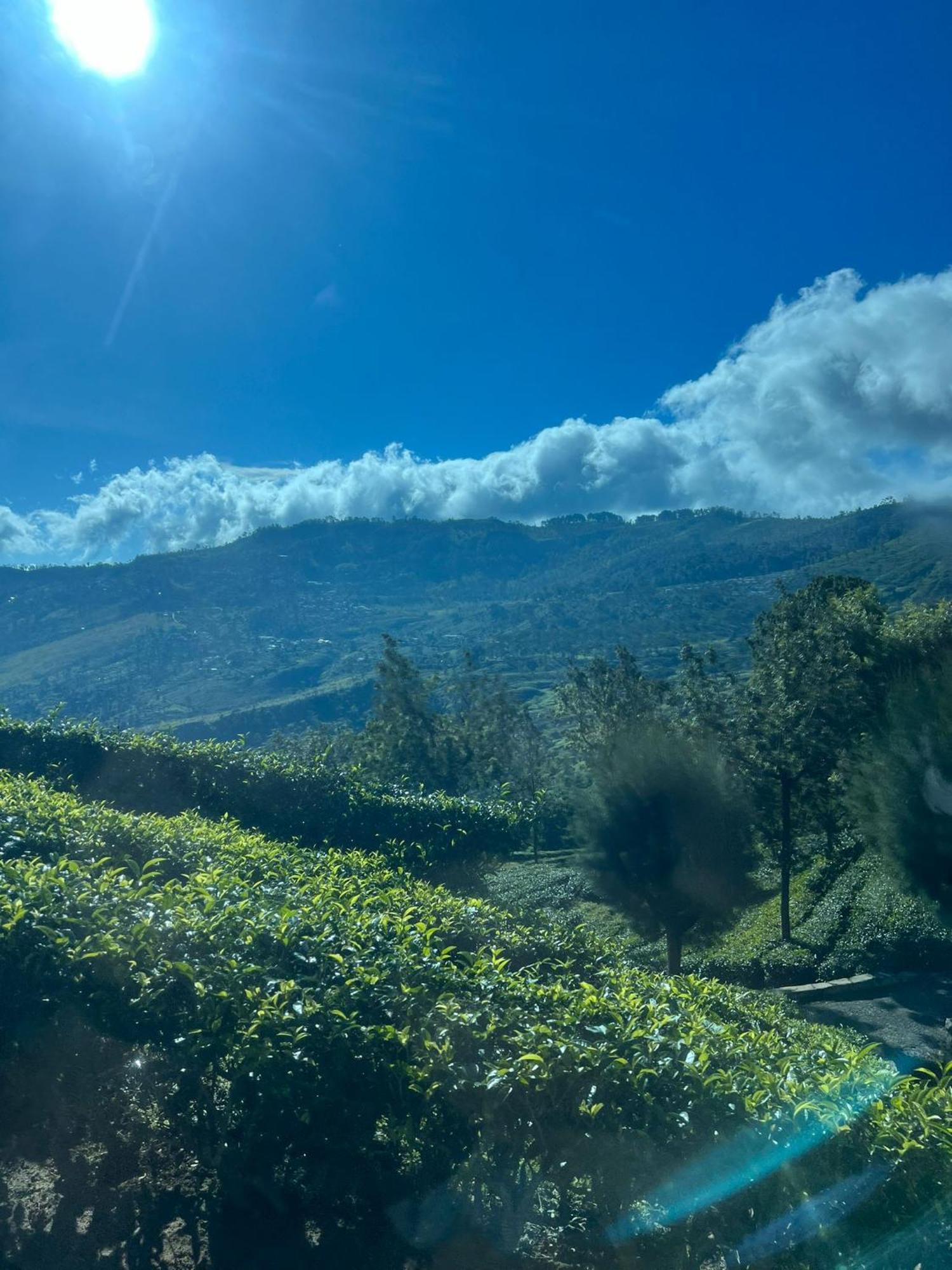 Grace Holiday Bungalow Haputale Dış mekan fotoğraf